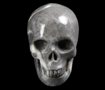 Fossil Stone Skull